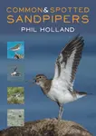 Common and Spotted Sandpipers - Phil Holland