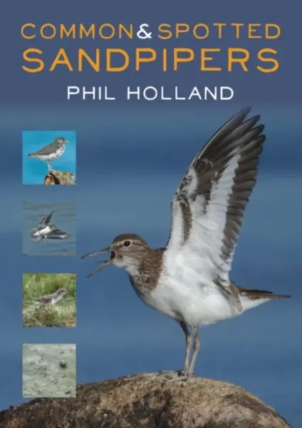 Common and Spotted Sandpipers - Phil Holland