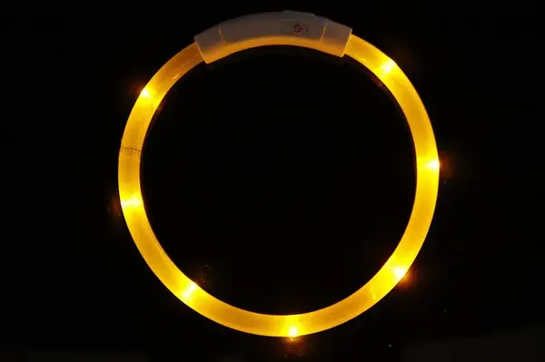 Reedog Easy Light USB dobíjecí svítící obojek pro psy a kočky - žlutá | P45808