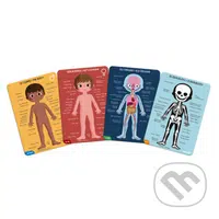 Ľudské telo (Vzdelávacie puzzle) - puzzle z kategorie Naučné puzzle