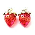 Transparent Acrylic Pendants