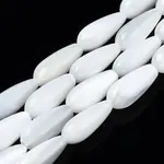 Natural Trochid Shell/Trochus Shell Beads Strands