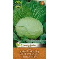 Kapusta neskorá Holt