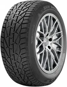 RIKEN 225/55 R 17 101V SNOW TL XL M+S 3PMSF