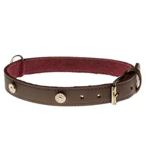 COBBYS PET Obojok z pravej olejovej kože, hnedý, podšitý a zdobený zlatými nitmi s kryštálmi 25mm/55cm