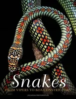 Snakes - Julianna Photopoulos