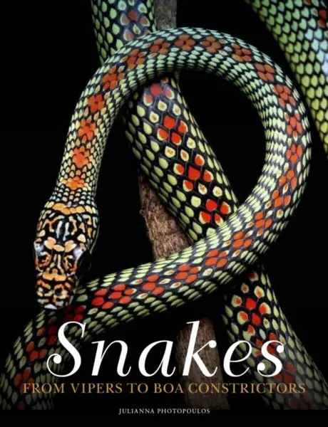 Snakes - Julianna Photopoulos