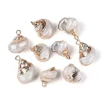 Electroplated Natural Shell Pendants