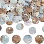 140Pcs Dyed Natural Akoya Shell Pendants