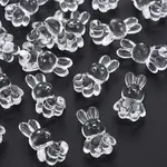 Transparent Acrylic Beads