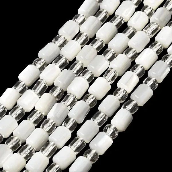 Natural Trochid Shell/Trochus Shell Beads Strands
