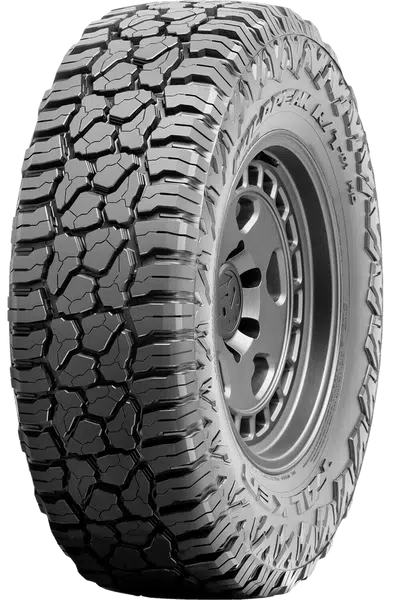 FALKEN 275/65 R 18 119/116Q WILD_PEAK_R/T_RT01 TL