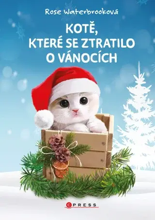 Kotě, které se ztratilo o Vánocích - Rose Waterbrooková - e-kniha