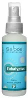 Saloos Natur aroma airspray Eukalyptus 50ml
