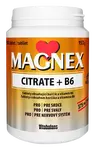 Magnex citrate 375mg+B6 100 tablet