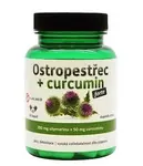 Ostropestřec+curcumin forte cps.60 Galmed