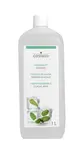 cosiMed esence do sauny Ledová máta - 1000 ml