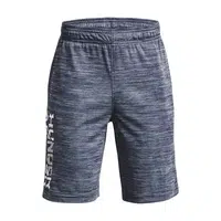 Boys' shorts Under Armour Prototype 2.0 Wdmk Shorts