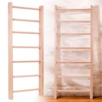 Žebřiny inSPORTline Steadyline 230x90 cm