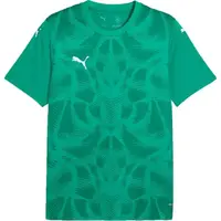 Puma TEAMGLORY JERSEY Pánske futbalové tričko, zelená, veľkosť