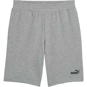 Puma ESSENTIALS NO. 1 SHORTS 10 Pánske voľnočasové šortky, sivá, veľkosť