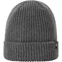 The North Face FISHERMAN Zimná čiapka, sivá, veľkosť