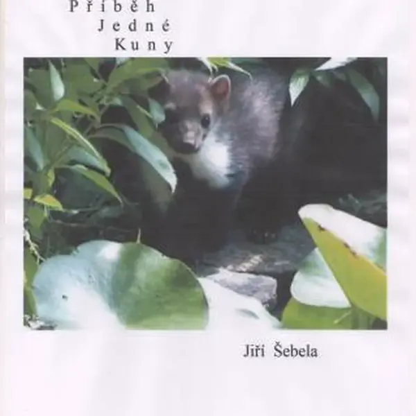 Příběh jedné kuny - Jiří Šebela - e-kniha
