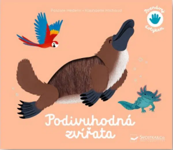 Poznávej dotykem  - Podivuhodná zvířata - Pascale Hédelin, Raphaëlle Michaud
