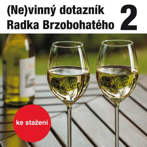 (Ne)vinný dotazník Radka Brzobohatého 2. - audiokniha
