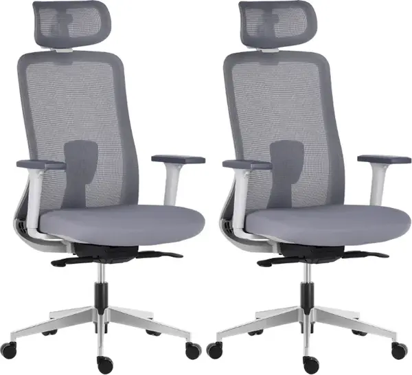 LTC 2PACK Ergonomická kancelárska stolička APOLLO, sivá (2 ks)
