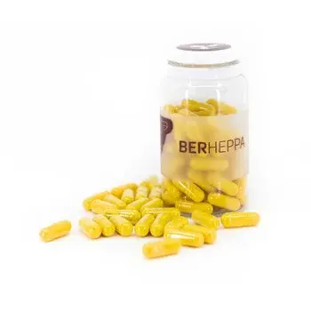 Berheppa