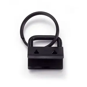 Electrophoresis Iron Split Key Rings