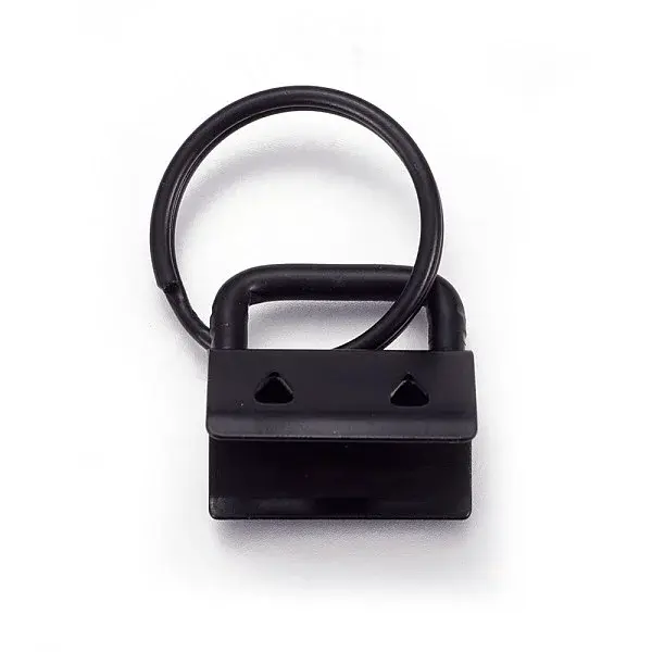 Electrophoresis Iron Split Key Rings