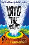 Into the Volcano - Jess Butterworth