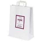 500 x Reklamní papírové tašky s jednostranným potiskem, 220 x 290 x 100 mm