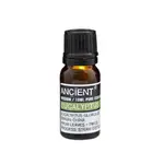 Ancient Wisdom Esenciálny olej EUKALYPTUS 10 ml