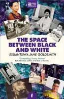 The Space Between Black and White - Esuantsiwa Jane Goldsmith