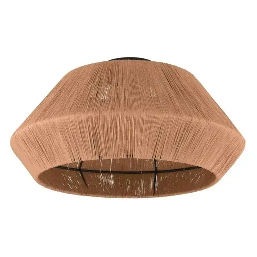 Stropné osvetlenie Eglo ALDERNEY čierna 43784