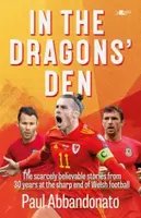 In the Dragons' Den - Paul Abbandonato
