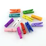 Dyed Wooden Craft Pegs Clips