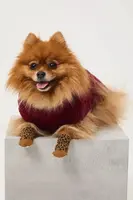 Svetr pro mazlíčka Medicine