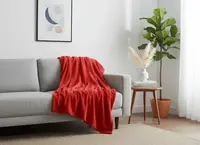 Mikroplyšová deka SOFT, červená Rozměr: 160 x 200 cm