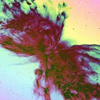 Brother Adam – Ascension