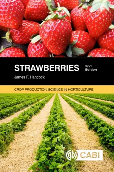 Strawberries - James  Hancock