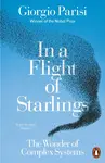 In a Flight of Starlings - Giorgio Parisi