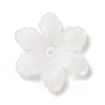 Transparent Acrylic Bead Caps