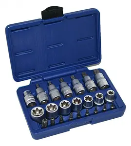 Hlavice TORX 1/2", nástrčné, zástrčné a bity, 23 dílů - ASTA