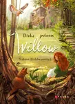 Dívka jménem Willow - Sabine Bohlmannová - e-kniha