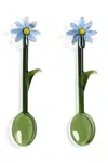 Sada lžiček &k amsterdam flora blue 2-pack zelená barva