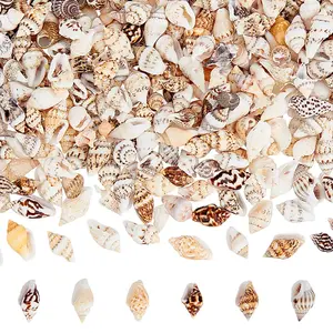 Natural Spiral Shell Beads